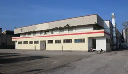 Aste giudiziarie beni immateriali online - 1.0