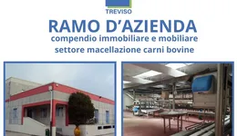 Aste giudiziarie beni immateriali online - 1.0