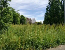 Aste giudiziarie immobiliari online - 8.0