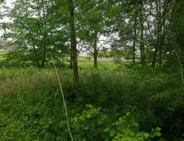 Aste giudiziarie immobiliari online - 9.0