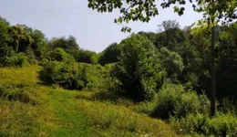 Aste giudiziarie immobiliari online - 6.0