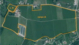 Aste giudiziarie immobiliari online - 11.0