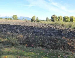 Aste giudiziarie immobiliari online - 2.0