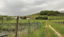 Aste giudiziarie immobiliari online - 4.0