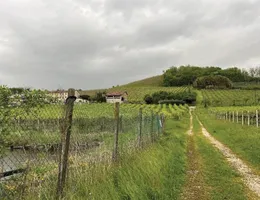 Aste giudiziarie immobiliari online - 1.0