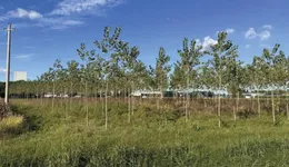 Aste giudiziarie immobiliari online - 1.0