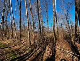 Aste giudiziarie immobiliari online - 6.0