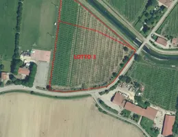 Aste giudiziarie immobiliari online - 2.0