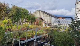 Aste giudiziarie immobiliari online - 10.0