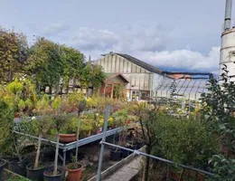 Aste giudiziarie immobiliari online - 4.0