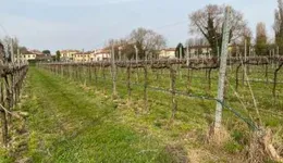 Aste giudiziarie immobiliari online - 8.0