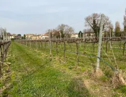 Aste giudiziarie immobiliari online - 7.0