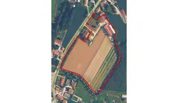 Aste giudiziarie immobiliari online - 1.0