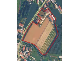 Aste giudiziarie immobiliari online - 4.0
