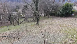 Aste giudiziarie immobiliari online - 12.0