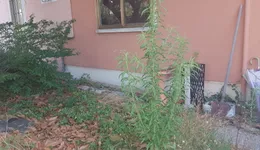 Aste giudiziarie immobiliari online - 3.0
