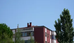 Aste giudiziarie immobiliari online - 1.0