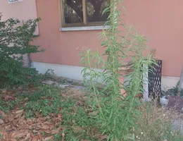 Aste giudiziarie immobiliari online - 9.0