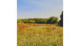 Aste giudiziarie immobiliari online - 2.0