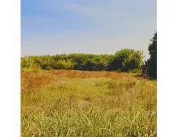 Aste giudiziarie immobiliari online - 9.0