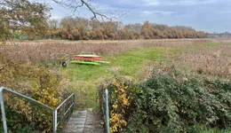 Aste giudiziarie immobiliari online - 8.0