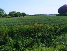 Aste giudiziarie immobiliari online - 8.0
