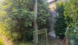 Aste giudiziarie immobiliari online - 9.0