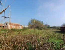 Aste giudiziarie beni immateriali online - 3.0