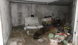 Aste giudiziarie immobiliari online - 5.0