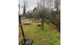 Aste giudiziarie immobiliari online - 9.0