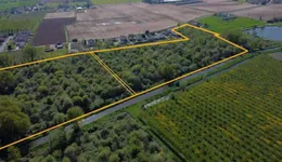 Aste giudiziarie immobiliari online - 7.0