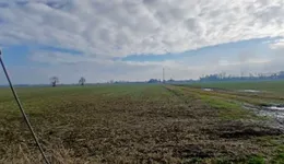 Aste giudiziarie immobiliari online - 6.0