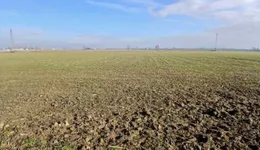 Aste giudiziarie immobiliari online - 2.0