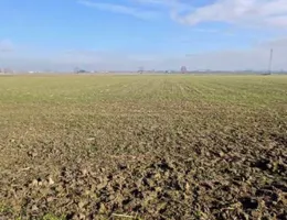 Aste giudiziarie immobiliari online - 9.0