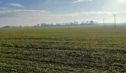 Aste giudiziarie immobiliari online - 4.0