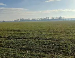 Aste giudiziarie immobiliari online - 11.0