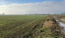 Aste giudiziarie immobiliari online - 5.0