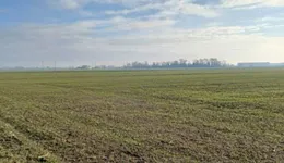 Aste giudiziarie immobiliari online - 6.0