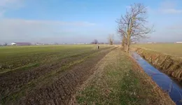 Aste giudiziarie immobiliari online - 7.0