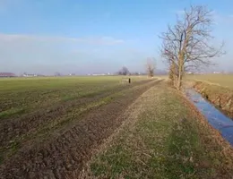 Aste giudiziarie immobiliari online - 3.0