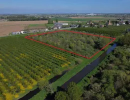 Aste giudiziarie immobiliari online - 4.0