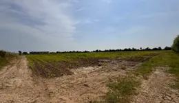 Aste giudiziarie immobiliari online - 2.0