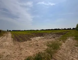 Aste giudiziarie immobiliari online - 2.0