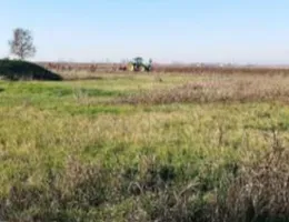 Aste giudiziarie immobiliari online - 12.0