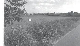 Aste giudiziarie immobiliari online - 10.0