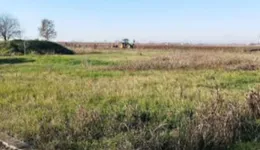 Aste giudiziarie immobiliari online - 10.0