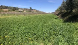 Aste giudiziarie immobiliari online - 3.0