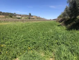 Aste giudiziarie immobiliari online - 3.0