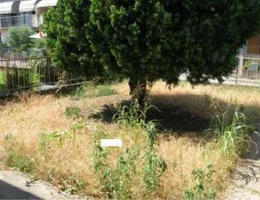 Aste giudiziarie immobiliari online - 2.0