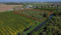 Aste giudiziarie immobiliari online - 8.0